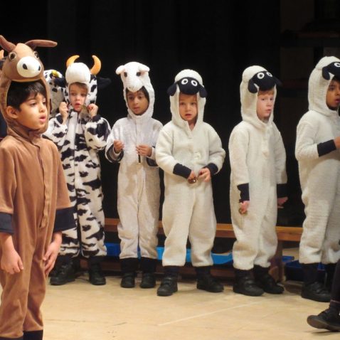 boys dressed up as farm animals
