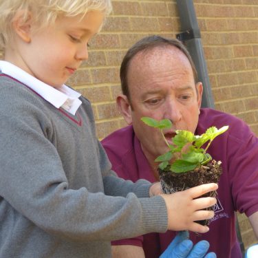 little boy holding a plant out to a teacher