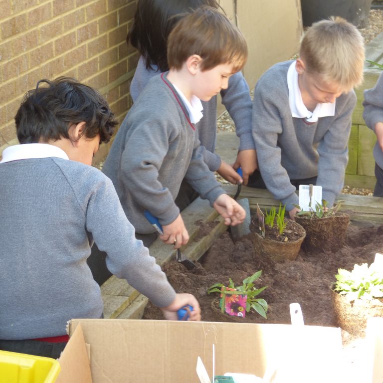 school children sat in the garden placing down plants