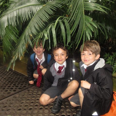 three school boys crouching underneath a palm tree