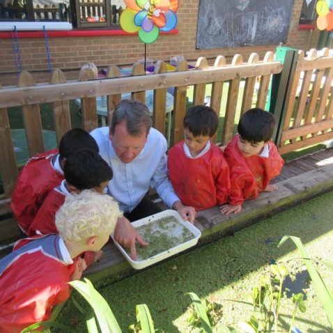 group of reception children and teacher studying pond life