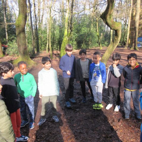 boys in a circle in the woods