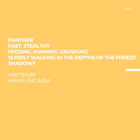 Hamza and Arda's Poem