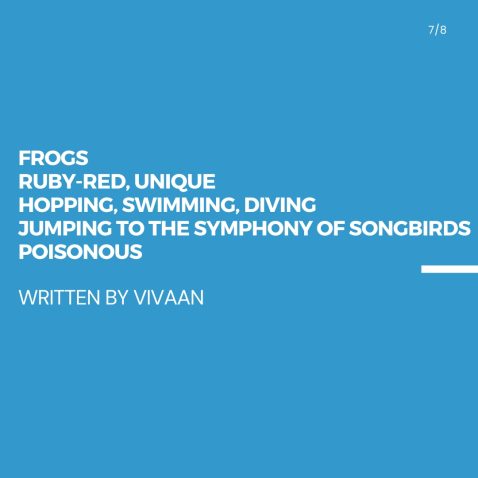 Vivaan's Poem