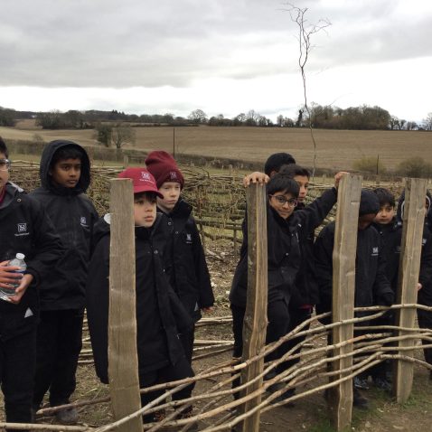 students holding onto fence posts