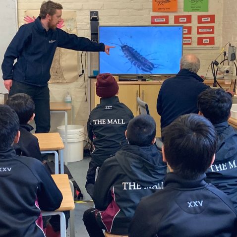 teacher pointing at an insect on a TV screen to show his students